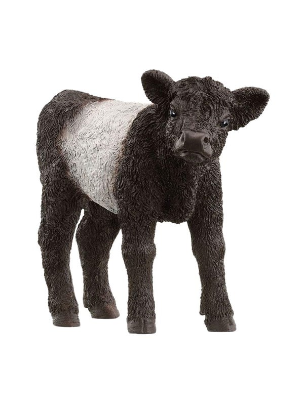 Galloway Kalv fra Schleich