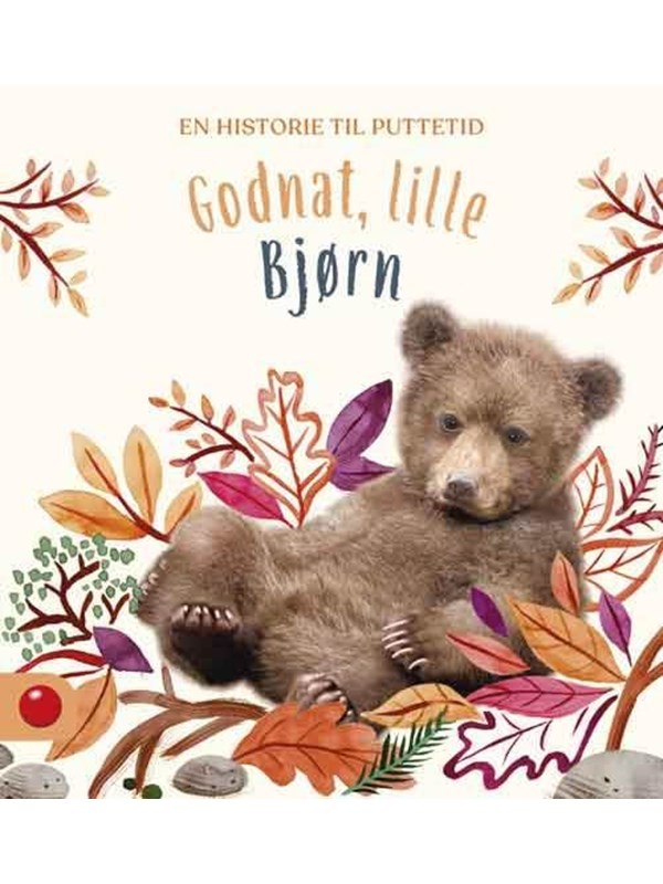 Godnat Lille Bjørn   Børnebog   Hardcover fra Forlaget Bolden