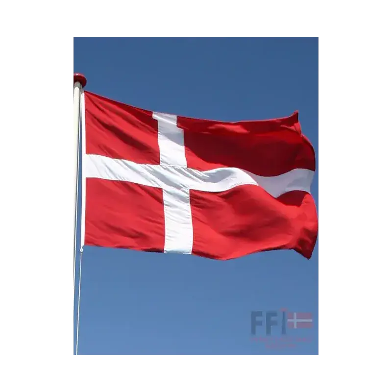 Dannebrogsflag Til 7 Meter Glasfiberflagstang fra Fyns Flagstang Industri