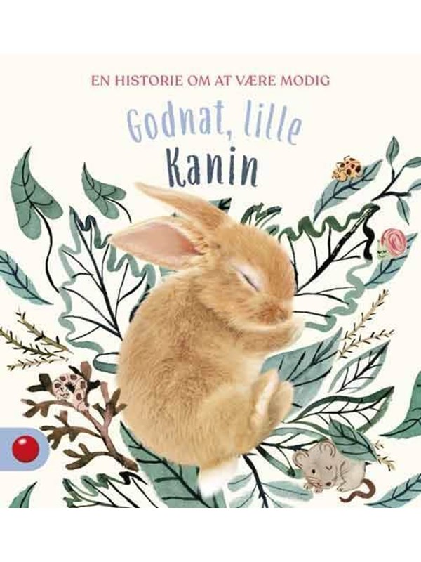Godnat Lille Kanin   Børnebog   Hardcover fra Forlaget Bolden