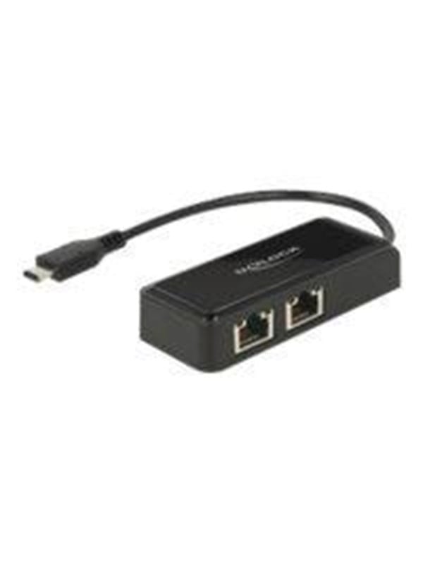Adapter Usb C 3.1 Gen 1 > 2 X Gigabit Lan 10 100 1000 Mb S fra Delock