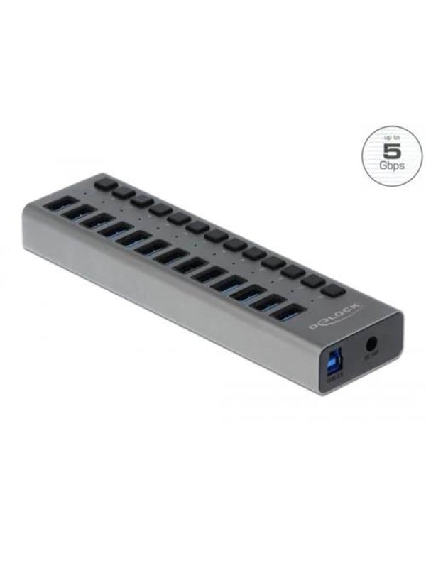 Hub   13 Ports Usb Hub   Usb 3.0   13 Ports   Grå fra Delock